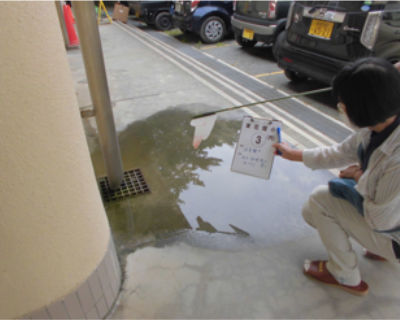 東花畑小　雨水枡