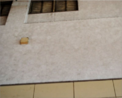 城西中　体育館壁