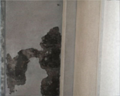 城西中　技術室壁