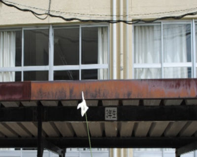 金武中　自転車置き場屋根