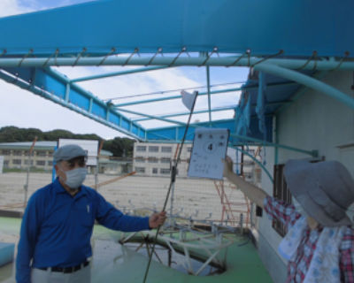 若久小　プール日よけ