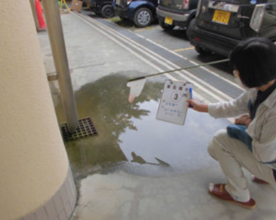 東花畑小学校 体育館 雨水桝