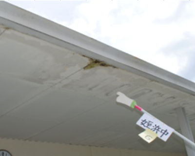 姪浜中学　プール