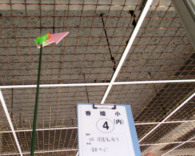 香陵小学校　図書室の廊下