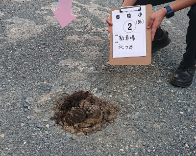 香陵小学校　駐車場