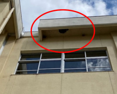 有住小学校　北校舎　軒天