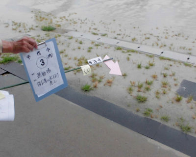 千代小学校　運動場の入り口