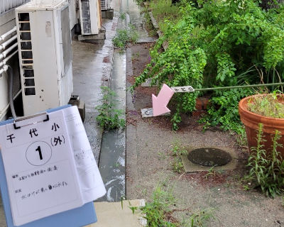千代小学校　玄関から職員室側の側溝