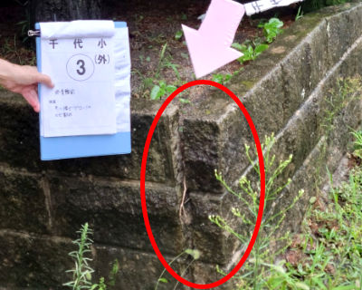 千代小学校　体育館前