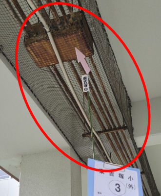 東吉塚小学校　渡り廊下