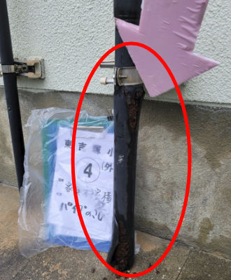 東吉塚小学校　家庭科室横の壁