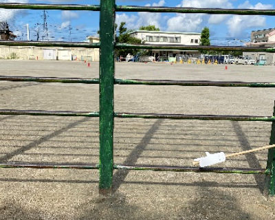 今宿小学校　　はしごのぼり