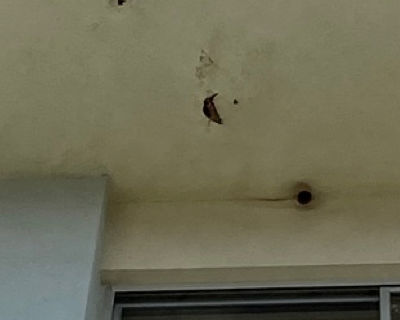 今宿小学校　正面玄関の左　軒天（3F）