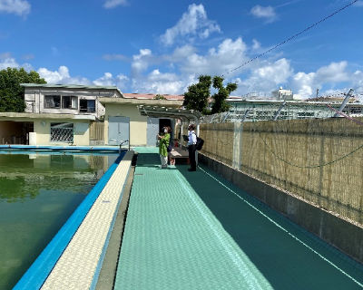 今宿小学校　プールプライバシー壁