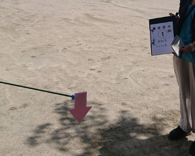 香住丘小学校　運動場