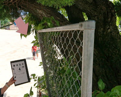 香住丘小学校　校庭側フェンス