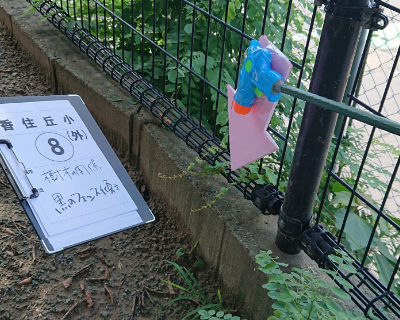 香住丘小学校　校舎裏(西門付近)