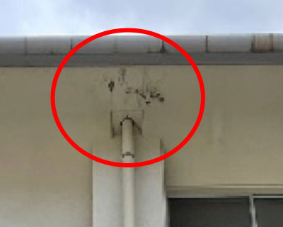 片江中学校　体育館天井外