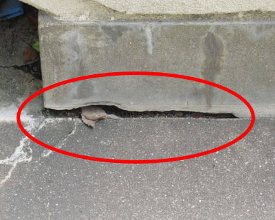 警固中学校　グラウンド　少量危険物取扱所クラック