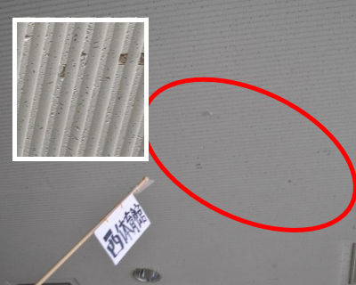 福岡市西区体育館　2F