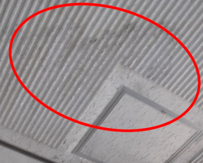 福岡市西区体育館　玄関入口