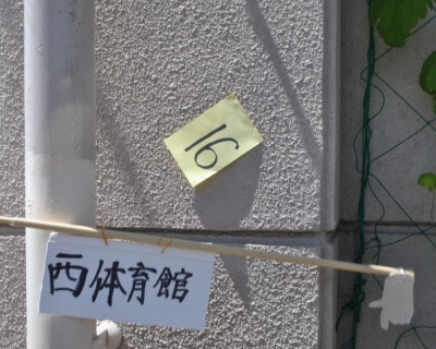 福岡市西区体育館　道路沿い壁　全体