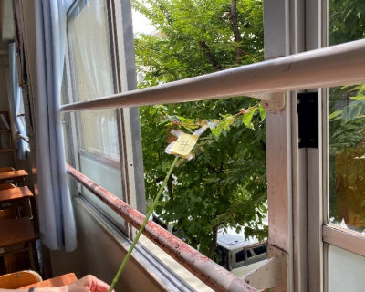 西福岡中学校　北校舎側　植栽２