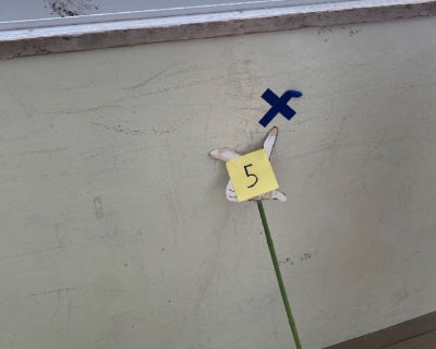 西福岡中学校　北校舎　廊下　（各階に数か所）