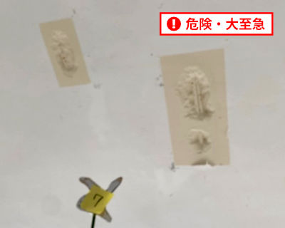 西福岡中学校　北校舎　4階階段の天井　数か所