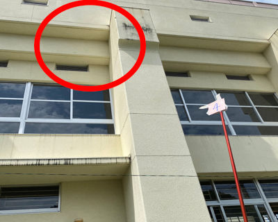 西福岡中学校　体育館柱壁