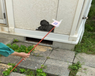 西福岡中学校　倉庫