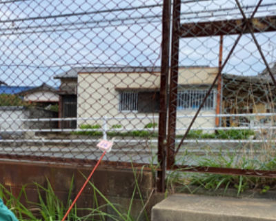 西福岡中学校　金網