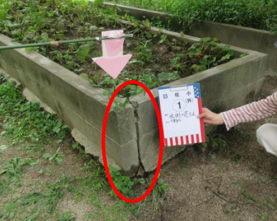 曰佐小・北側花だん