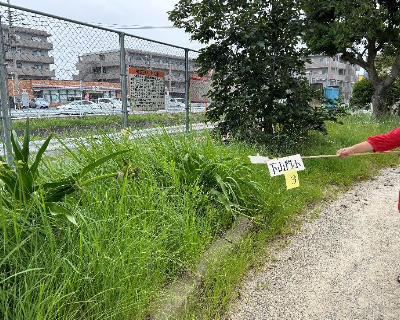 下山門小学校・リサイクル 横