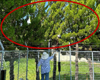 脇山小・プール 周辺