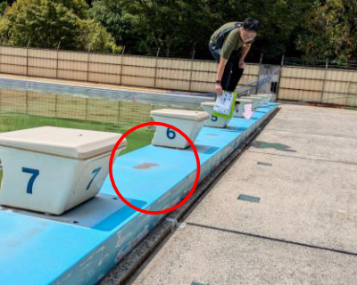 平尾中学校・プール周り