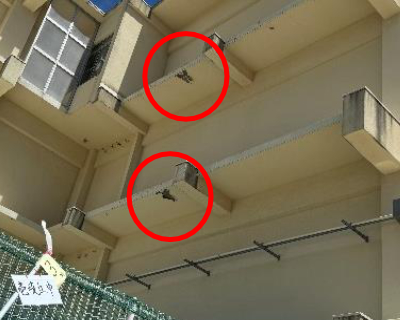 壱岐丘中学校・2F 3F軒天