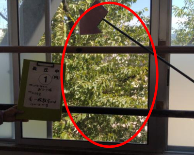 長丘中学校・踊り場