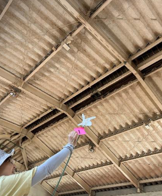 西新小学校・体育館天井