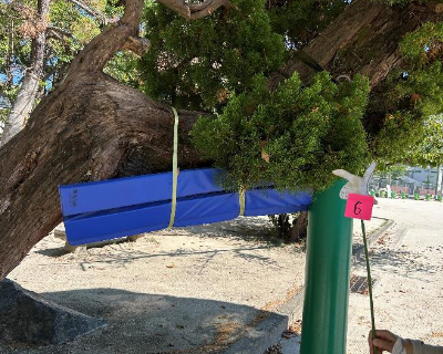 西新小学校・運動場