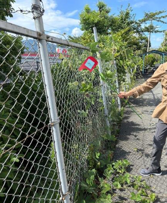 友泉中学校・危険物倉庫近くフェンス