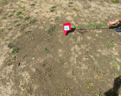 友泉中学校・中庭