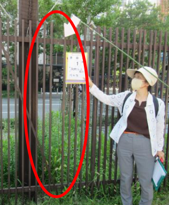 警固小・南側フェンス