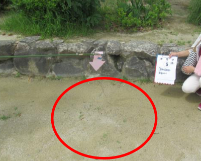 宮竹小・運動場南側