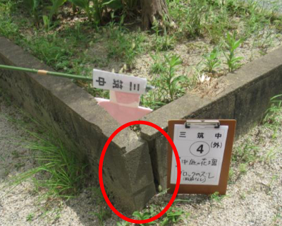 三筑中・中庭花壇