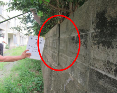 笹丘小・校舎南側(職員室 裏)