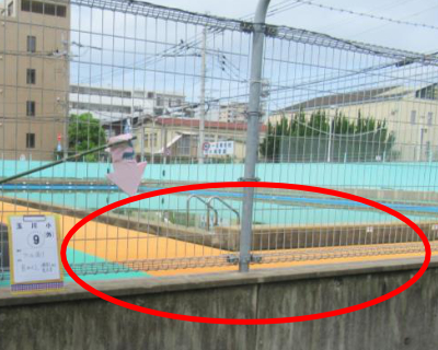 玉川小・プール周り