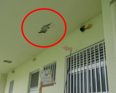 玉川小・体育館軒天