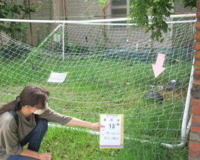 玉川小・不要のサッカーゴール