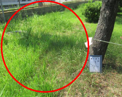 多々良中・外周まわり